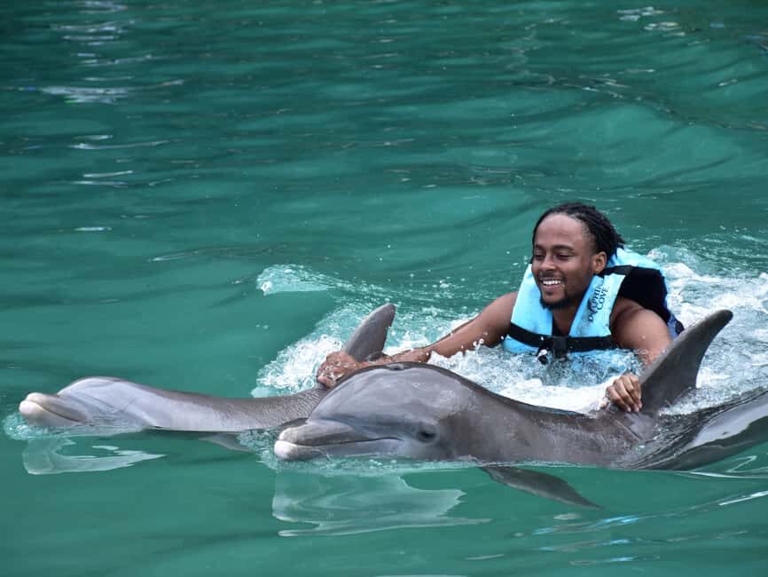 Montego Bay: Dolphin Cove Ocho Rios Day Trip - Key Takeaways Before You Go