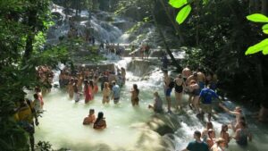 Montego Bay: Dunn's River Falls & Lunch at Bamboo Beach Club - Montego Bay to Ocho Rios: the drive that shapes the day