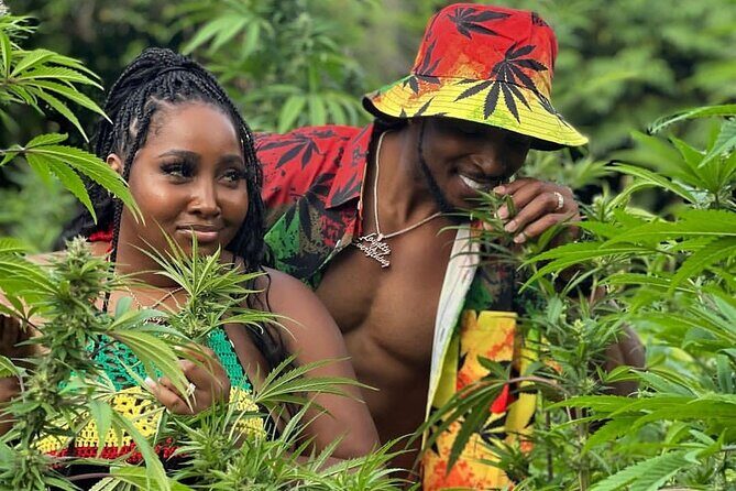 Montego Bay Exotic Herbs, Birds and Animals Interaction Tour - Key highlights to know before you go