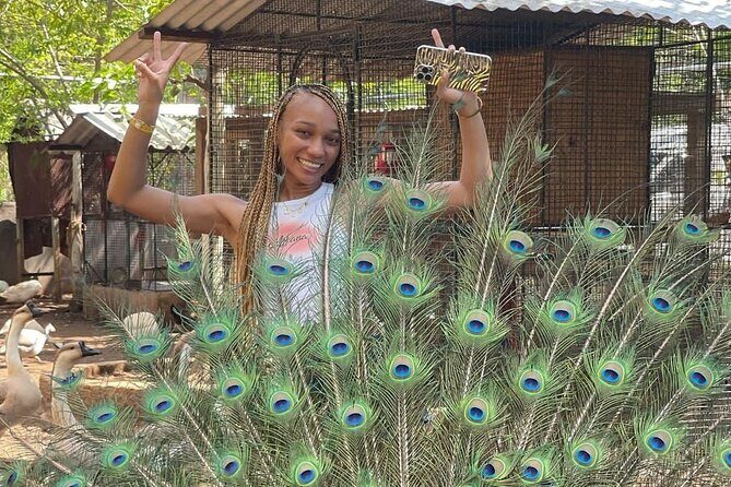 Montego Bay Exotic Herbs, Birds and Animals Interaction Tour - Bird Feeding at Ironshore: Up Close, Not Overstuffed