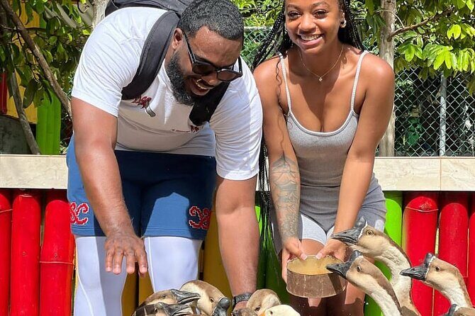 Montego Bay Exotic Herbs, Birds and Animals Interaction Tour - Stop 1 at Ironshore: Why It’s the Right Place for This Mix