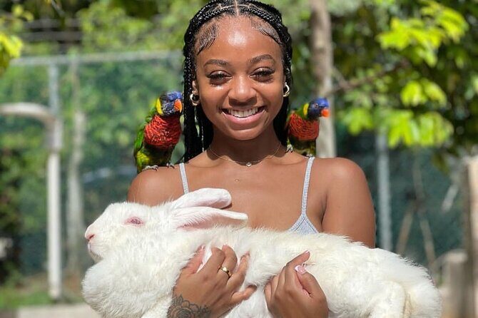 Montego Bay Exotic Herbs, Birds and Animals Interaction Tour - Getting to the Tour: Pickup, AC Ride, and Simple Logistics