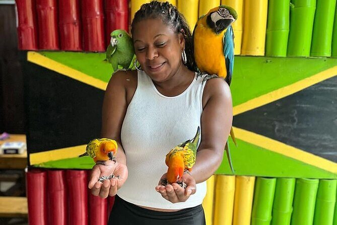 Montego Bay Exotic Herbs, Birds and Animals Interaction Tour - What Kind of Traveler Will Love This Most?