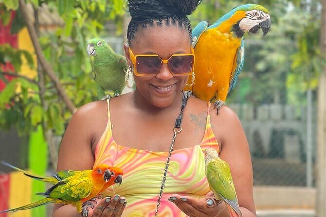 Montego Bay Exotic Herbs, Birds and Animals Interaction Tour - The Animal-and-Photo Flow: What Your Time Feels Like