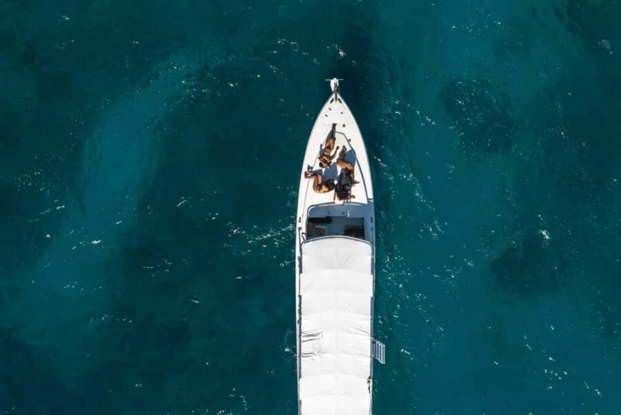 Montego Bay: Full-Day Speedboat Trip to Negril - What to Bring (So the Day Stays Fun, Not Annoying)