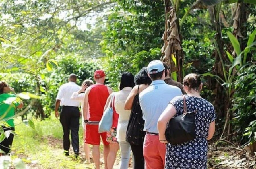Montego bay Highlight Tour - How to Get More Out of Your 3 Hours