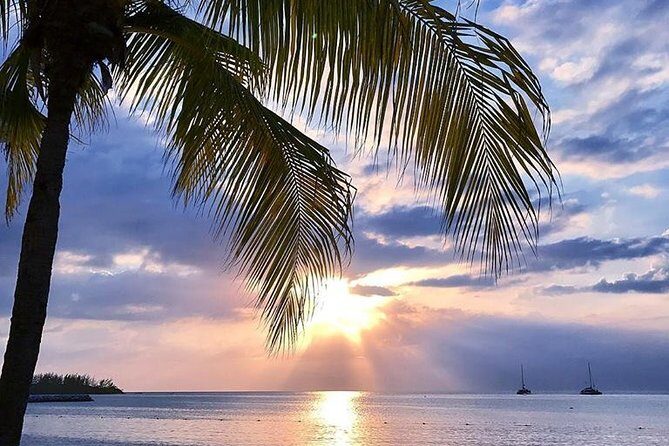 Montego Bay Highlights Tour from Montego Bay - Price and value: what $96.42 gets you