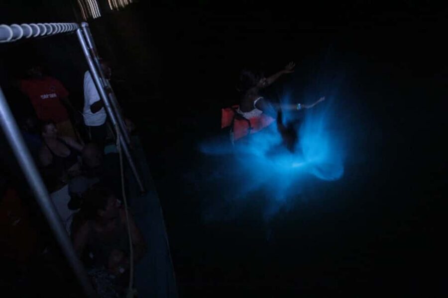 Montego Bay: Luminous Lagoon Evening Boat Tour - Key Highlights You’ll Care About