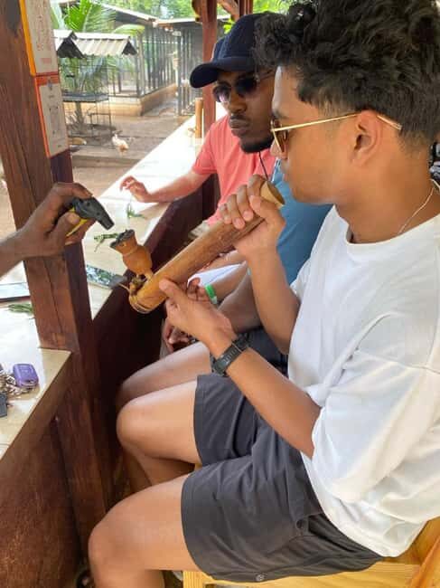 Montego Bay: Marijuana Farm and Bird Sanctuary Tour - A Short Drive With a Very Specific Theme