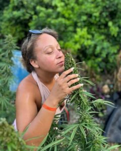 Montego Bay: Marijuana Farm and Bird Sanctuary Tour - Herb Farm Nursery: Touch, Smell, and Seed-to-Sale Lessons