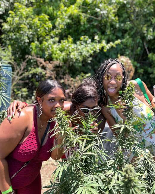 Montego Bay: Marijuana Farm and Bird Sanctuary Tour - Weed Chalice Pipe: A Choose-Your-Comfort Moment