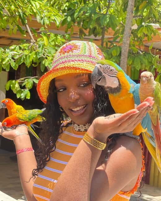 Montego Bay: Marijuana Farm and Bird Sanctuary Tour - Should You Book This Tour?