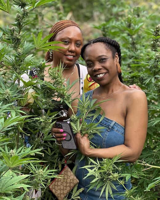Montego Bay: Marijuana Farm Private Tour with Transportation - The Culture Chat: Rastafarian Use, Modern Views, and Legal Questions