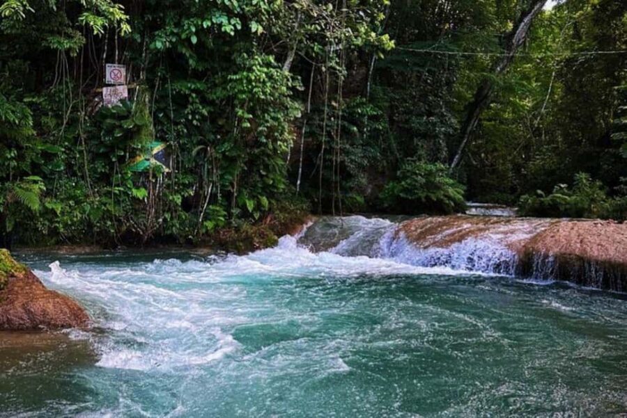 Montego Bay: Private Dunn's River Falls and Blue Hole Tour - Dunn’s River Falls Park: How the 600-foot climb stays fun (not stressful)