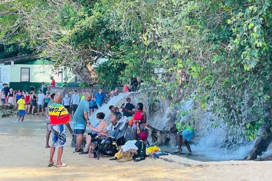 Montego Bay: Private Dunn's River Falls and Blue Hole Tour - Who should book this Montego Bay Blue Hole and Dunn’s River combo