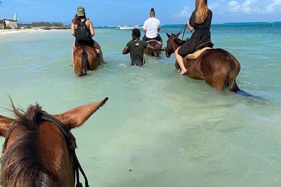 Montego Bay: Private Horseback Ride & Blue Hole Tour - Blue Hole and Secret Falls: Rope Swing, Clear Water, and Caverns