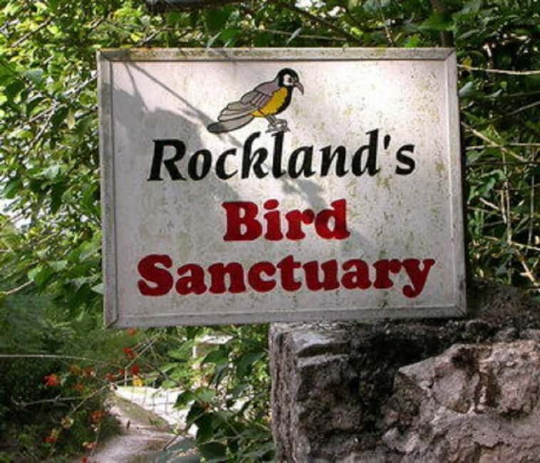 Montego Bay: Private Rocklands Bird Sanctuary Trip - Who should book this Rocklands trip—and who should skip it