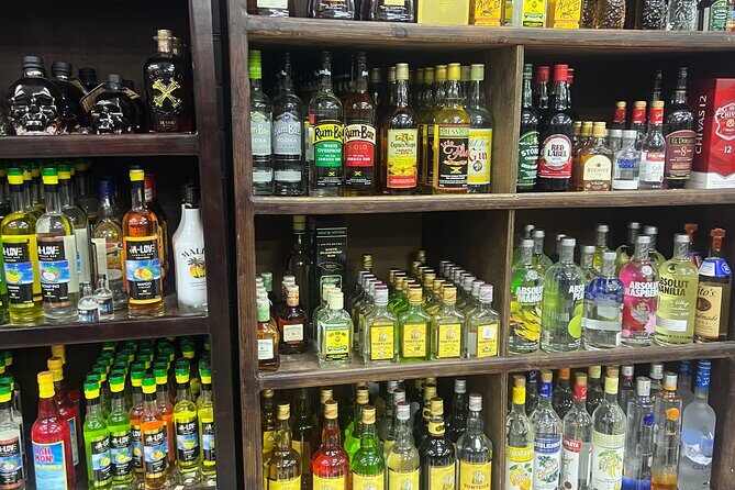 Montego Bay Sightseeing, Souvenir Shopping and local food hunt - Price and Value: Is $47.30 Worth It?