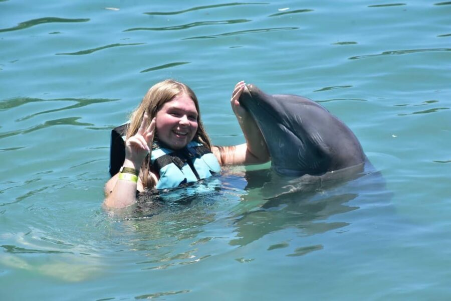 Montego Bay: Swim With The Dolphins Adventure in Lucea - The Encounter Phase: Knee-Deep Dolphin Time and Behavior Lessons
