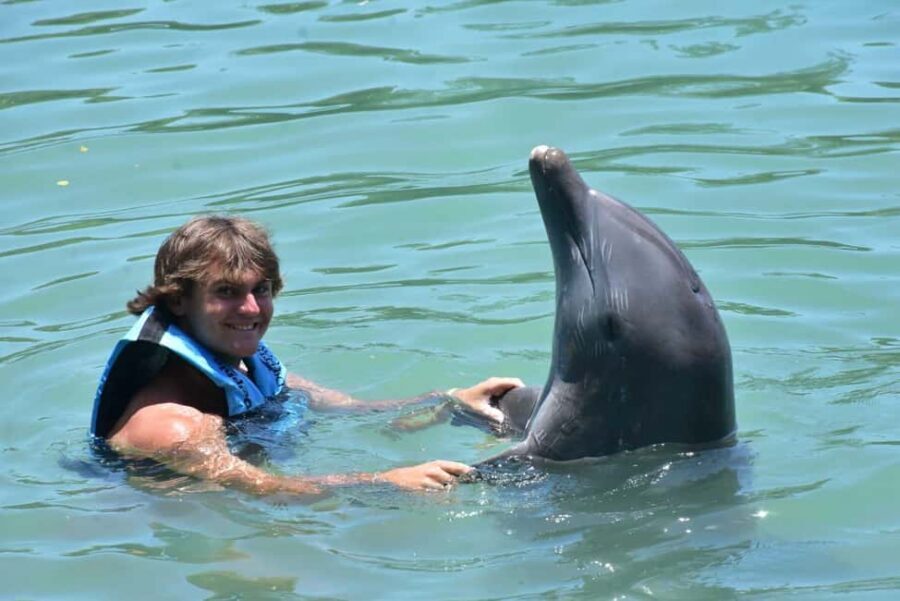 Montego Bay: Swim With The Dolphins Adventure in Lucea - Getting Picked Up: Resort-to-Dolphin Cove Route Without the Headache