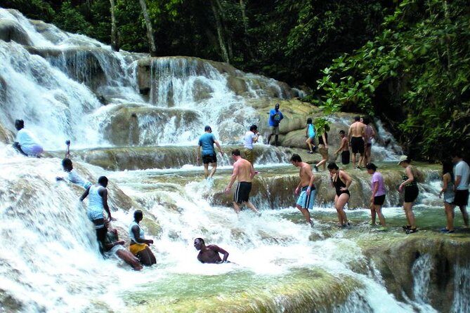 Montego Bay to Dunn's River Falls Half-Day Trip - What you actually do at the falls (swim, climb, top-out)
