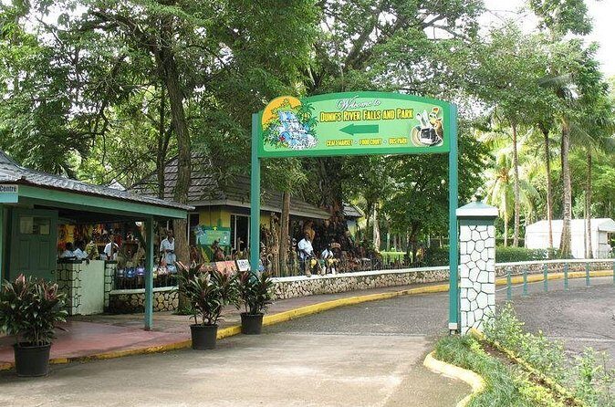 Montego Bay to Dunn's River Falls Half-Day Trip - The craft market: good souvenirs, pushy energy (plan for it)