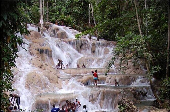 Montego Bay to Dunn's River Falls Half-Day Trip - Price and value: is $75 per person fair for what you get?