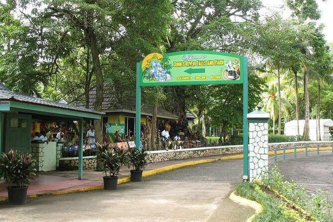 Montego Bay to Dunn's River Falls Half-Day Trip - Who should book this tour?
