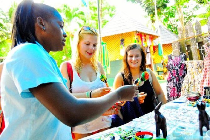 Montego Bay to Dunn's River Falls Half-Day Trip - Montego Bay pickup and small-group comfort