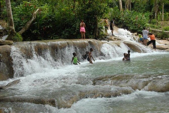 Montego Bay tour: Dunn's River Falls - Price and Logistics: what you’re paying for (and what matters)