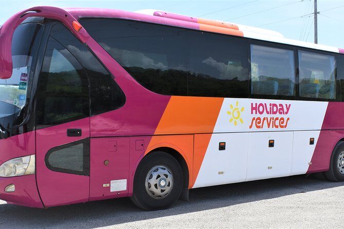 MontegoBay Airport to Ocho Rios: One way/Round Trip cheap Shuttle - Round Trip Option and Communication That Helps You Sleep