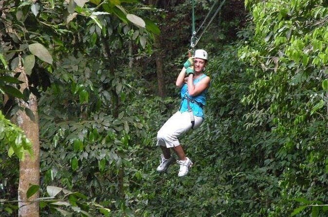 Mystic Mountain Canopy Experience From Montego Bay - Price and Value: $230.77 for Up to 4, Plus Park Entry