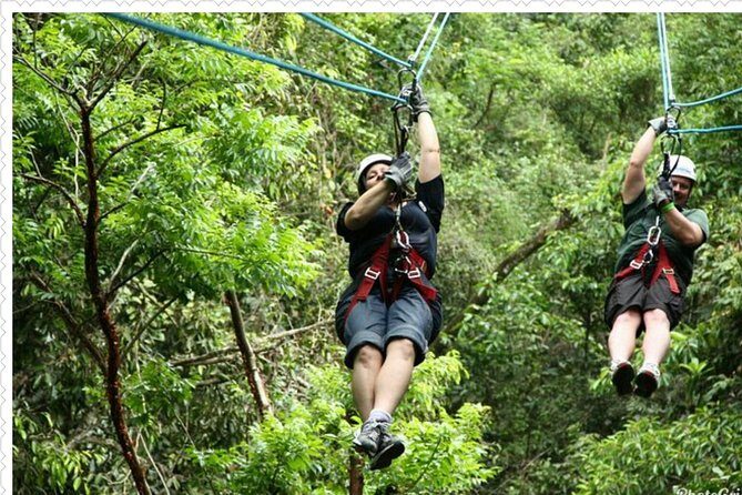 Mystic Mountain Tour from Montego Bay - Montego Bay to Mystic Mountain: what the private transfer actually gives you