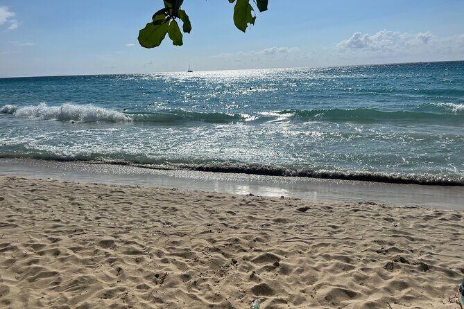 Negril 7 Mile Beach and Ricks Cafe Tour - The drive, rest stops, and snack breaks: small details that affect comfort