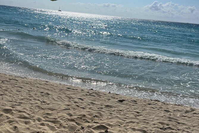 Negril 7 Mile Beach and Ricks Cafe Tour - Who this tour suits best