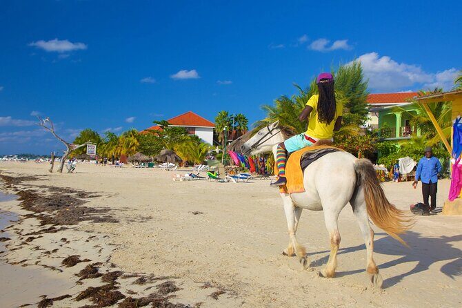 Negril 7 Mile Beach and Rick's Cafe Tour From Montego Bay Jamaica - Who This Tour Fits Best (And Who Might Feel Rushed)