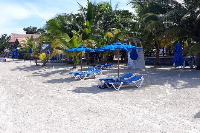 Negril 7 Miles Beach and Rick's Cafe Tour - Key highlights worth planning around