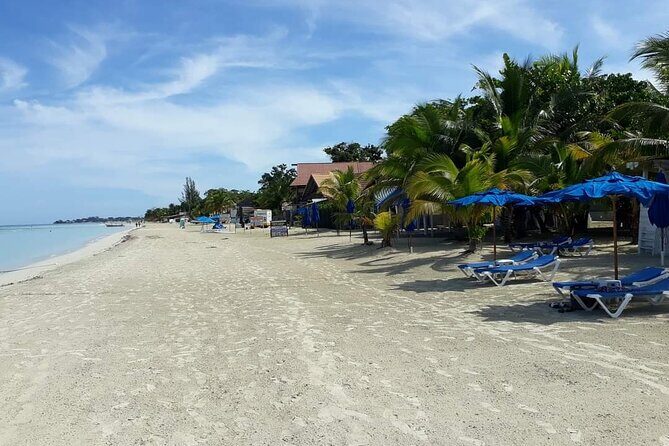 Negril 7 Miles Beach and Rick's Cafe Tour - What to bring and how to plan your day order