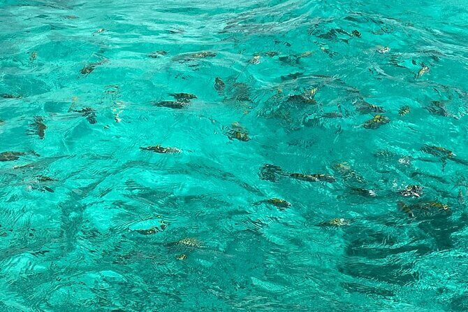Negril and Ricks Cafe Sunset Tour with Boat Ride and Snorkeling - Snorkeling on the included boat ride: enjoy the sea time without the planning headache