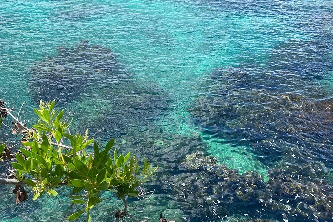 Negril day! beach and west end Cliffs with French Guide - Who this tour suits best (and who should rethink it)