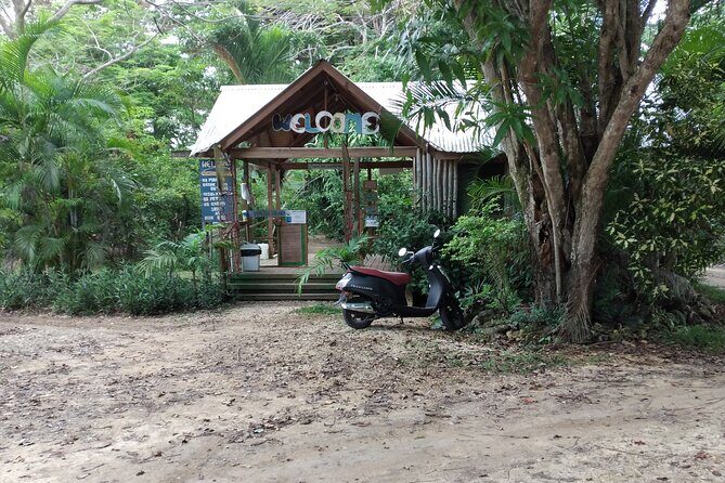 Negril Private and Public Beach with Ricks Cafe from Montego Bay - Calico Jack’s Pirate Island: the view is included, the boat option is yours