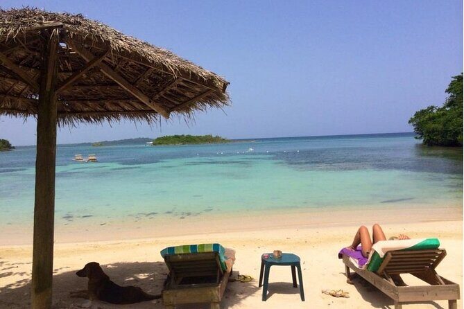 Negril Private and Public Beach with Ricks Cafe from Montego Bay - Price and value: where $129.99 makes sense (and where it doesn’t)