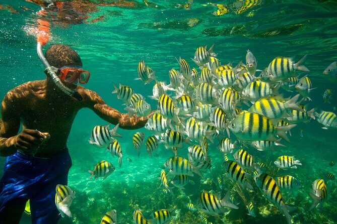 Negril Seven Miles Beach, Snorkeling, Boat Ride, Ricks Cafe Combo - Margaritaville break: a familiar stop with beach energy