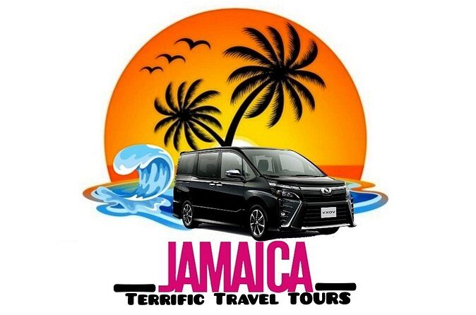 Ocean Coral Spring/Ocean Eden Bay Private Airport Transfer - Why This Private Transfer Beats Taxi Lines After a Flight