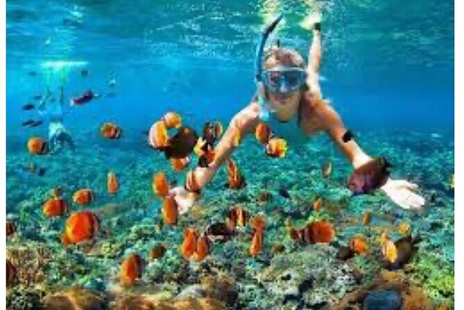 Party Catamaran and Snorkeling Tour in Montego Bay - How large groups and the 200-traveler limit affect your comfort