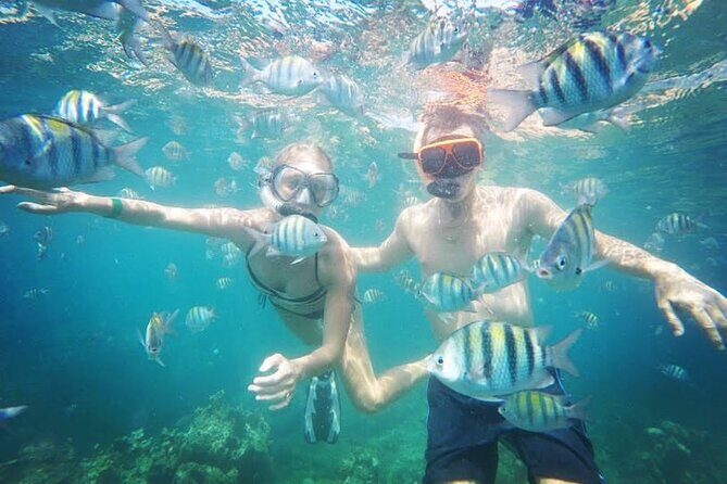 Party Catamaran Cruise with Open Bar and Snorkeling Montego Bay - Morning Tour Families vs Afternoon Adults-Only