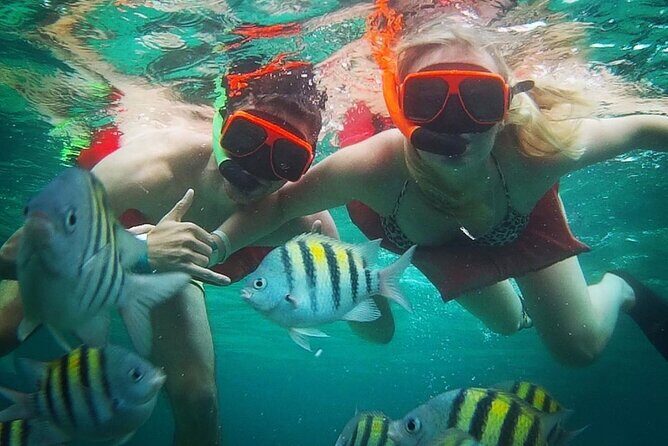 Party Catamaran Cruise with Open Bar and Snorkeling Montego Bay - Getting On Board at Rapsody Tours, Cruises & Charters