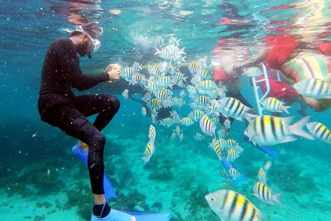 Party Catamaran: OpenBar, Music, Negril Beach, Caves, Snorkeling - Onboard the Open Bar: Music, Crew Energy, and Snorkeling That Feels Managed