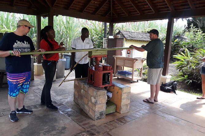 Private Appleton Estate Rum and Pelican Bar Tour from Montego Bay - What the 8-Hour Timing Feels Like (and Who Should Book)