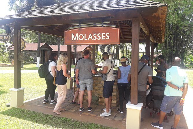 Private Appleton YS Falls and Black River Tour from Montego Bay - Key things that make this tour worth your time